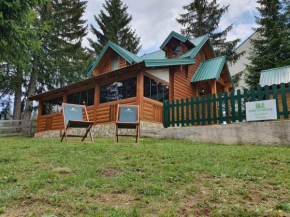 Pines House